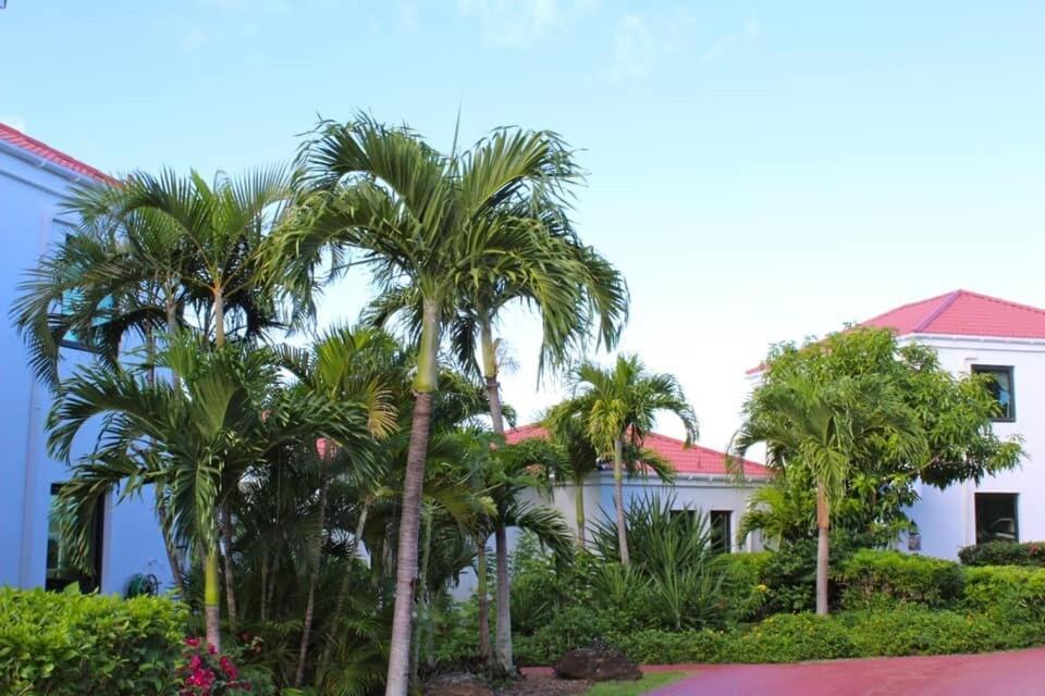 Serene Cruz Bay Villa Sep Mstr Kg Suite Stunning Sunsets エクステリア 写真